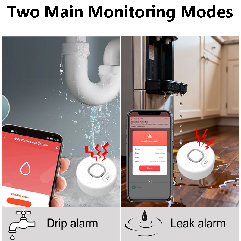 Detektor Kebocoran Air Pintar  - Home Security Options ulasan dan harga