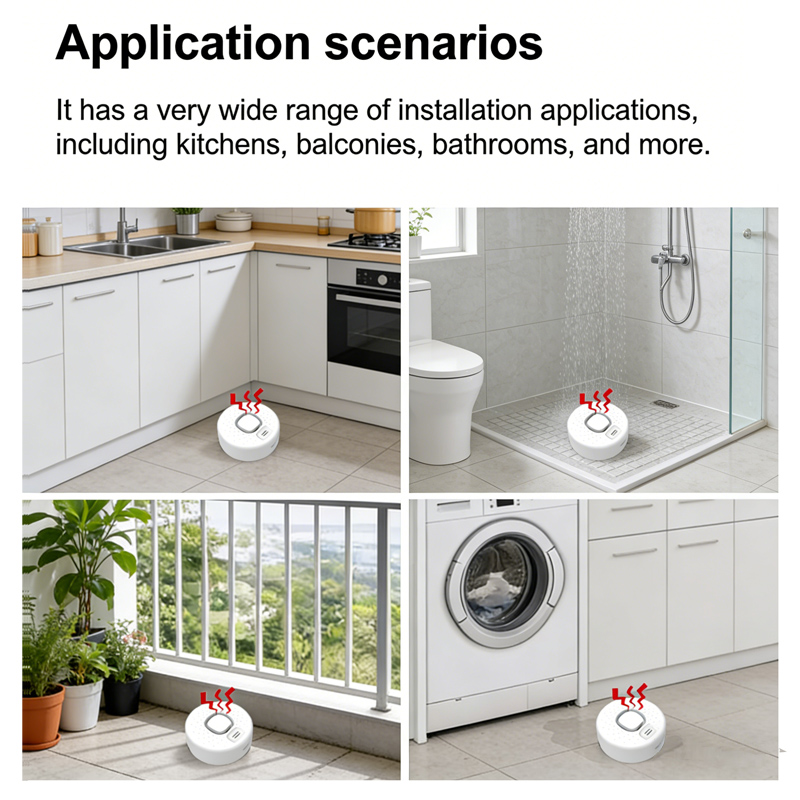 Detektor Kebocoran Air Pintar  - Home Security Options ulasan dan harga